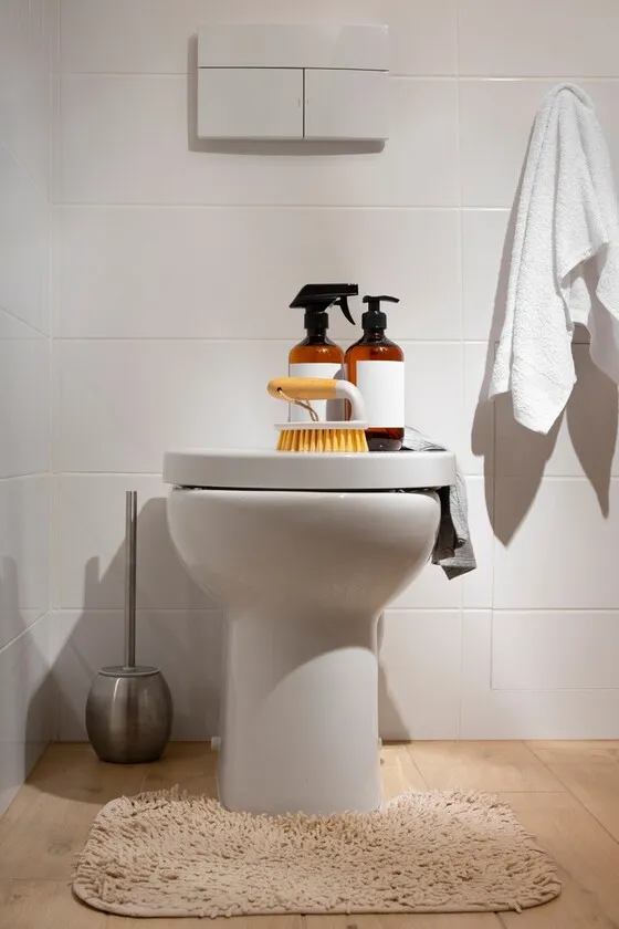 Professional home toilet installation
